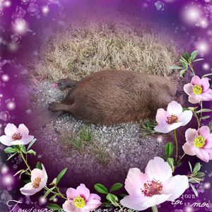 Meet your Posher, Jacqueline